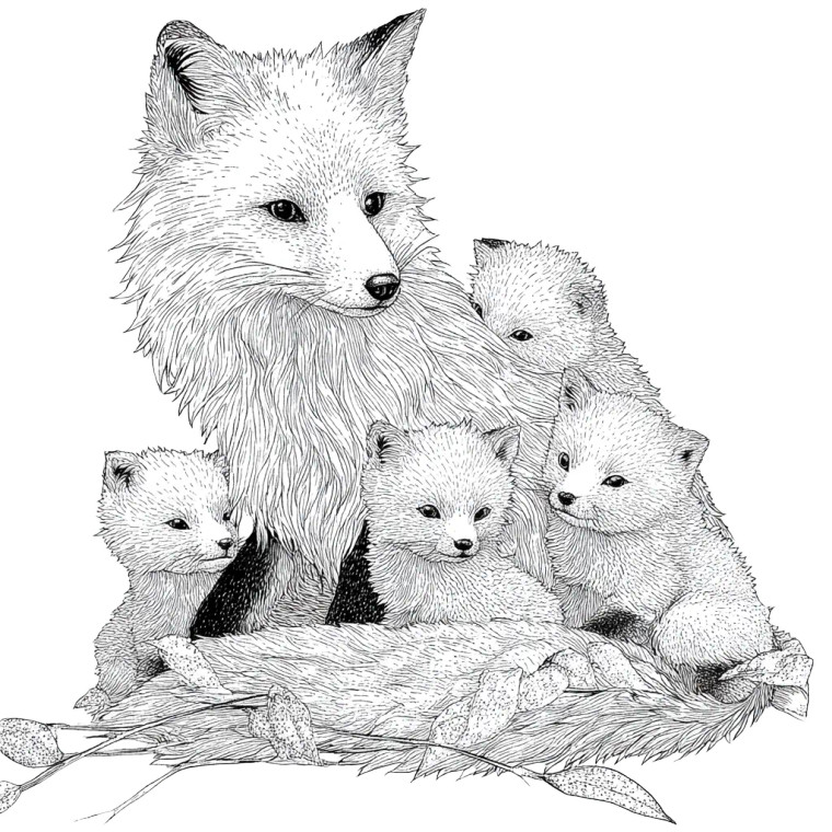 Fox With Babies Vinyl Car Decal Sticker – Waterproof & UV-Resistant 3.4133333333333336"