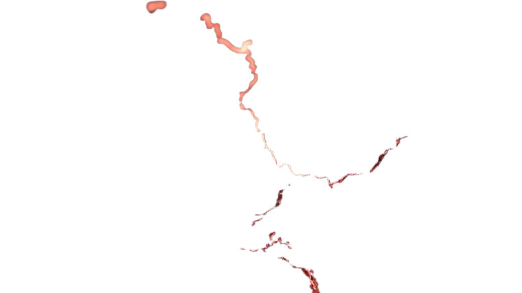 Glowing Tree Veins V2 Vinyl Car Decal Sticker – Waterproof & UV-Resistant 5.4