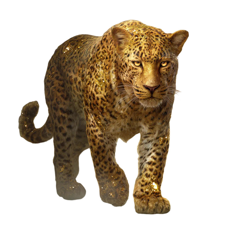 Golden Leopard Guardian Vinyl Car Decal Sticker – Waterproof & UV-Resistant 3.4133333333333336"