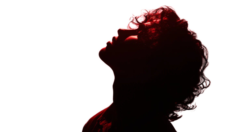 Inspired Musician Vinyl Car Decal Sticker – Waterproof & UV-Resistant 2.72"