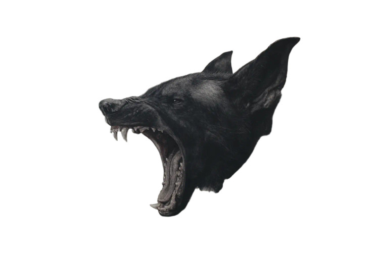 Wolf-Bat Transformer Vinyl Car Decal Sticker – Waterproof & UV-Resistant 2.986666666666667"