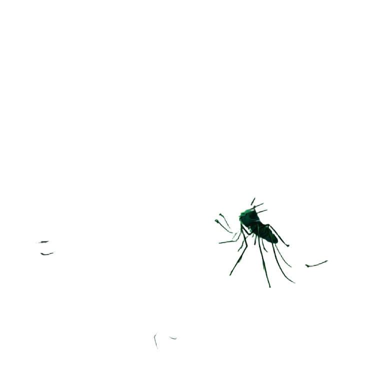 Glowing Mosquito Swarm Vinyl Car Decal Sticker – Waterproof & UV-Resistant 3.4133333333333336"