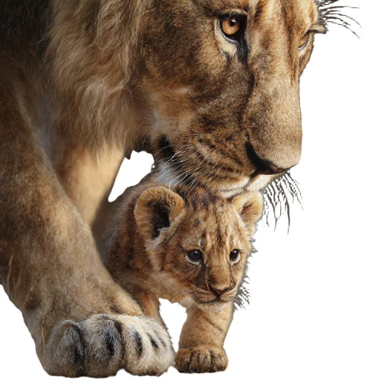 Lion Family Scene Vinyl Car Decal Sticker – Waterproof & UV-Resistant 3.4133333333333336"