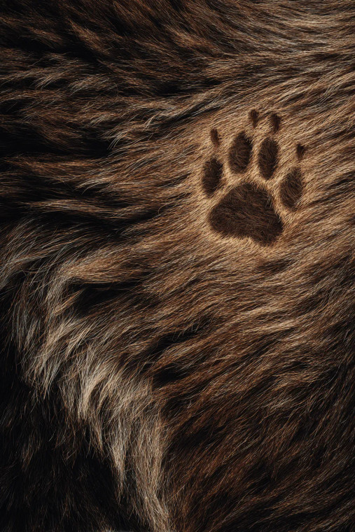 Bear Fur Texture Vinyl Car Decal Sticker – Waterproof & UV-Resistant 8.96"