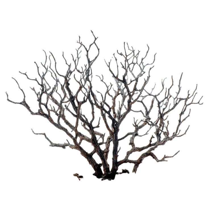 Twig Blight Bush Vinyl Car Decal Sticker – Waterproof & UV-Resistant 3.4133333333333336"