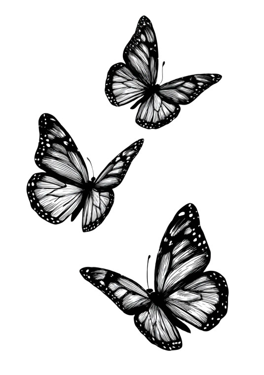 Three Butterflies Drawing Vinyl Car Decal Sticker – Waterproof & UV-Resistant 4.32"