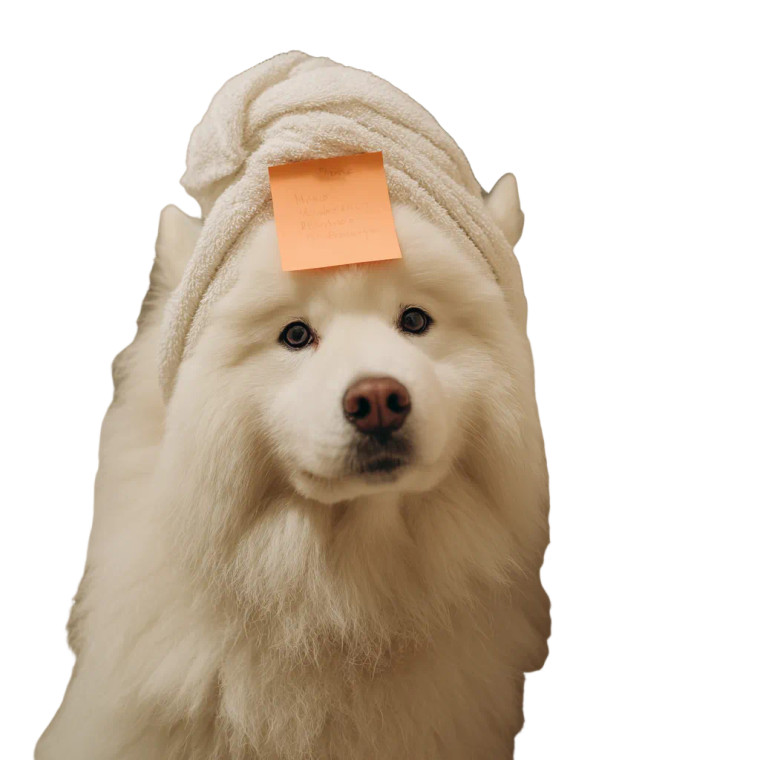 Fluffy Samoyed Dog Vinyl Car Decal Sticker – Waterproof & UV-Resistant 3.4133333333333336"