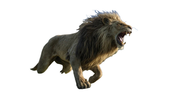 Roaring Lion King V4 Vinyl Car Decal Sticker – Waterproof & UV-Resistant 2.72"