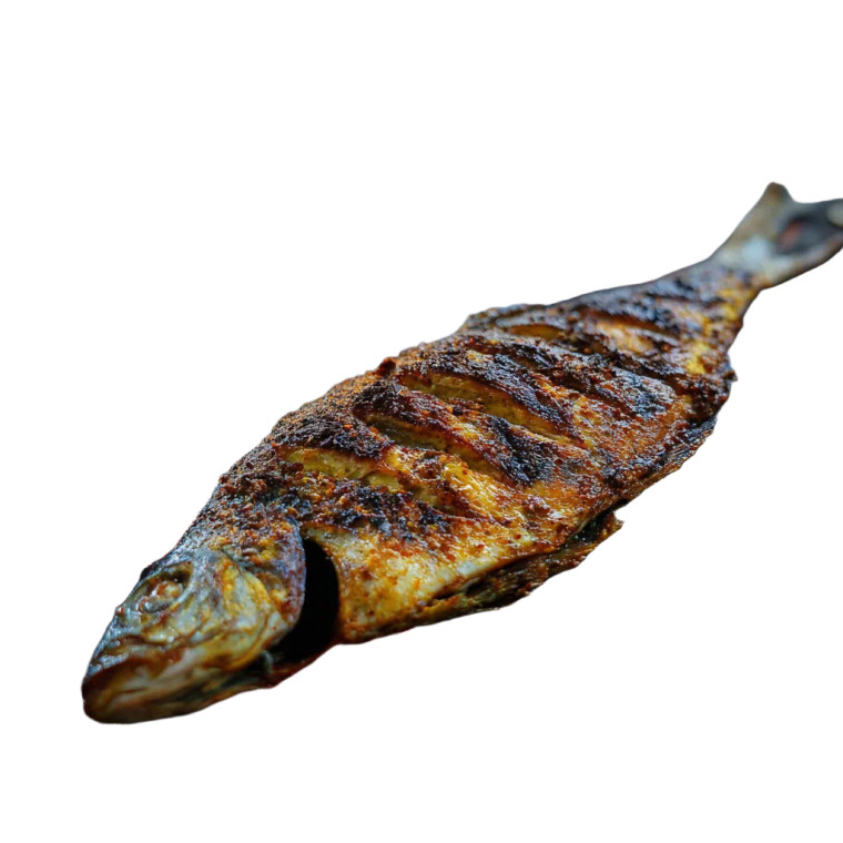 Grilled Fish Vinyl Car Decal Sticker – Waterproof & UV-Resistant 6.826666666666667"