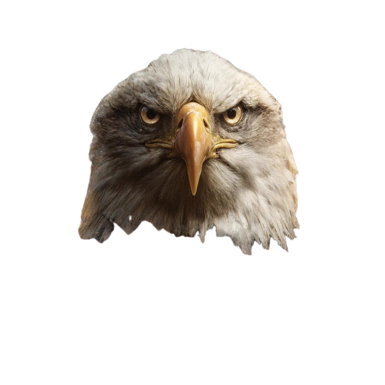 Patriotic Eagle Scene V3 Vinyl Car Decal Sticker – Waterproof & UV-Resistant 3.4133333333333336"