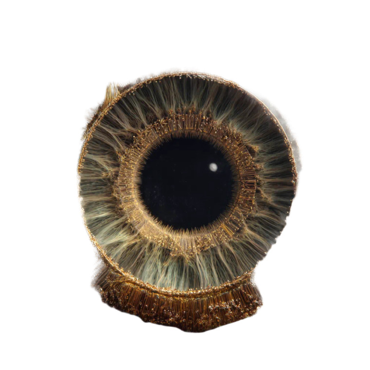 Human Eye Crossection Vinyl Car Decal Sticker – Waterproof & UV-Resistant 3.4133333333333336"