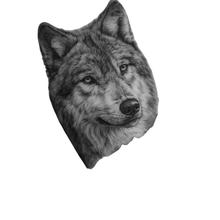 Indian With Wolf Vinyl Car Decal Sticker – Waterproof & UV-Resistant 6.826666666666667"