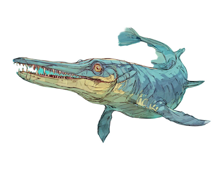 Ichthyosaur Vinyl Car Decal Sticker – Waterproof & UV-Resistant 3.2"