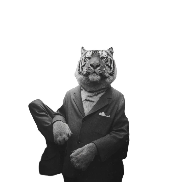 Business Tiger Vinyl Car Decal Sticker – Waterproof & UV-Resistant 6.826666666666667"