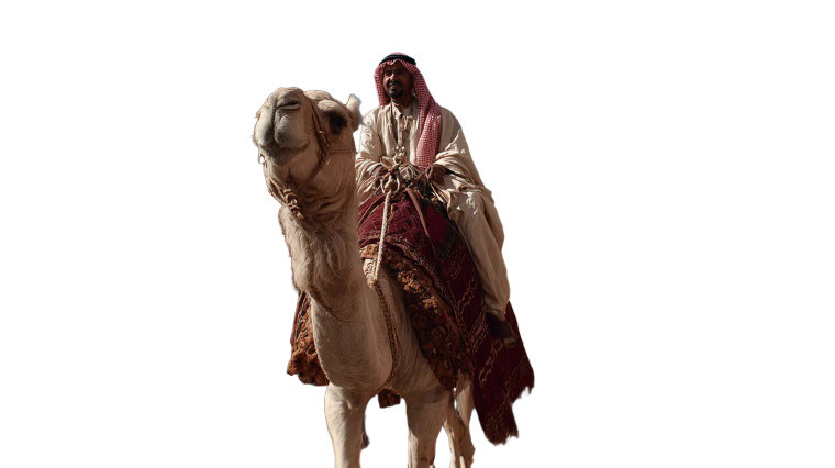 Arab Man On Camel Vinyl Car Decal Sticker – Waterproof & UV-Resistant 5.4