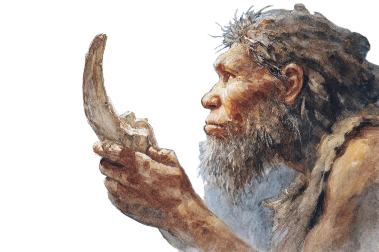 Neanderthal With Boomerang Vinyl Car Decal Sticker – Waterproof & UV-Resistant 2.986666666666667"