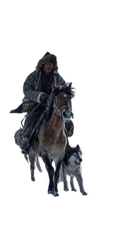 Mongolian Rider Night Vinyl Car Decal Sticker – Waterproof & UV-Resistant 4.8533333333333335"
