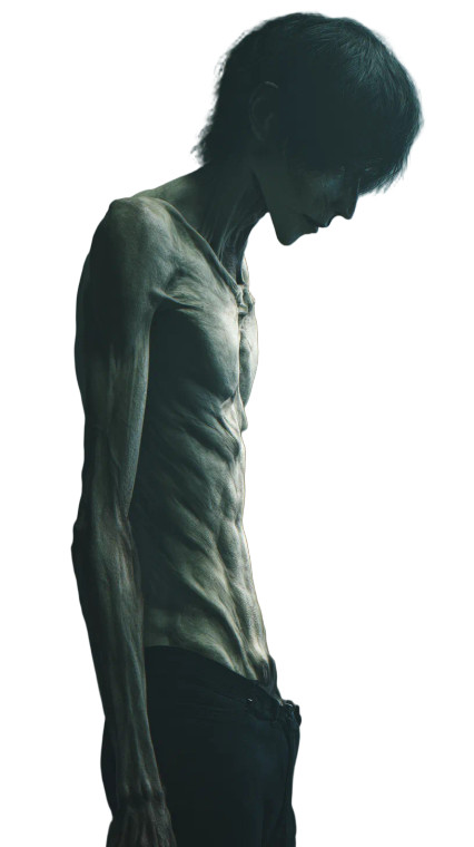 Japanese Monster Vinyl Car Decal Sticker – Waterproof & UV-Resistant 4.8533333333333335"