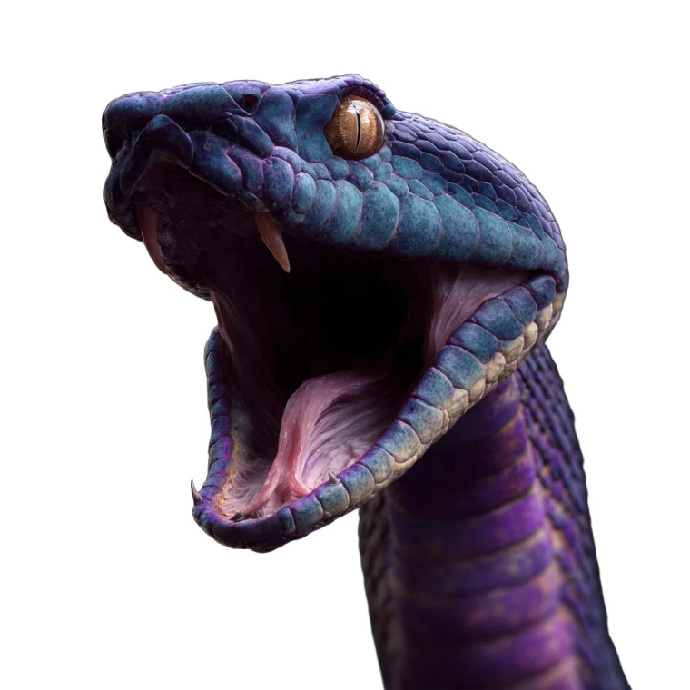 Attacking Snake V4 Vinyl Car Decal Sticker – Waterproof & UV-Resistant 3.4133333333333336"