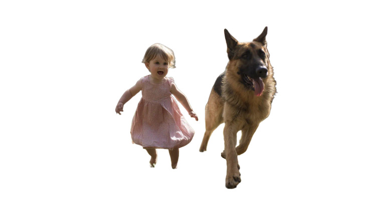 Chasing Joy V2 Vinyl Car Decal Sticker – Waterproof & UV-Resistant 2.72"