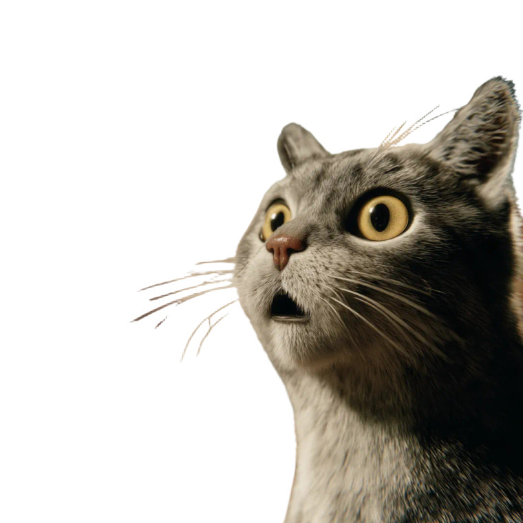 Surprised Cat V3 Vinyl Car Decal Sticker – Waterproof & UV-Resistant 3.4133333333333336"