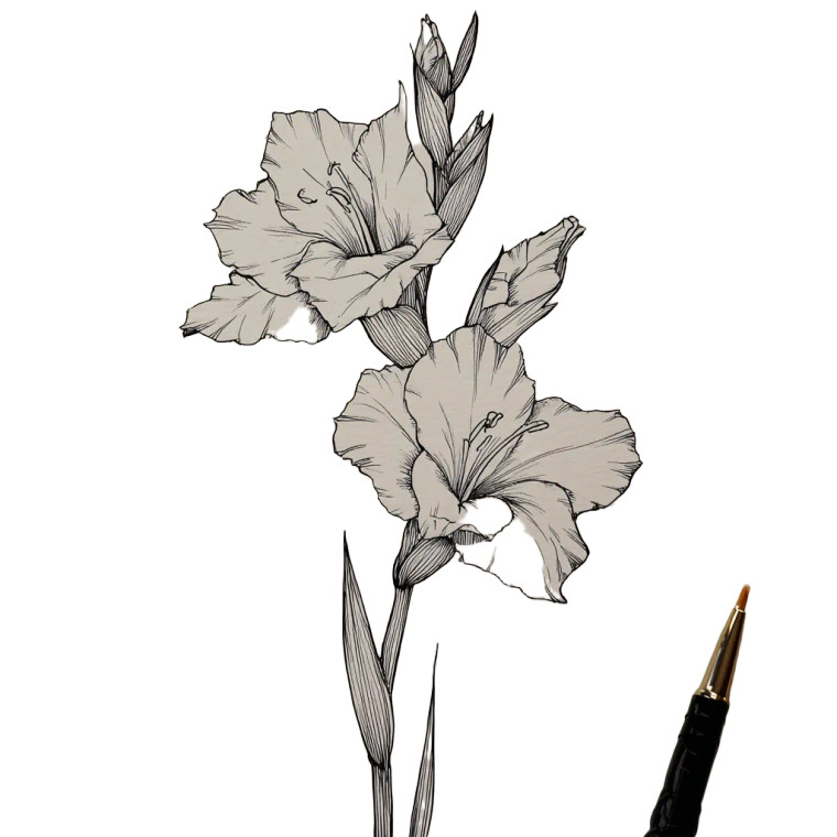 Gladiolus Outline Vinyl Car Decal Sticker – Waterproof & UV-Resistant 3.4133333333333336"