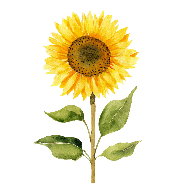 Scandinavian Sunflower Vinyl Car Decal Sticker – Waterproof & UV-Resistant 3.4133333333333336"