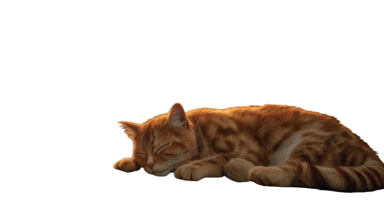 Sleeping Ginger Cat V3 Vinyl Car Decal Sticker – Waterproof & UV-Resistant 2.72"