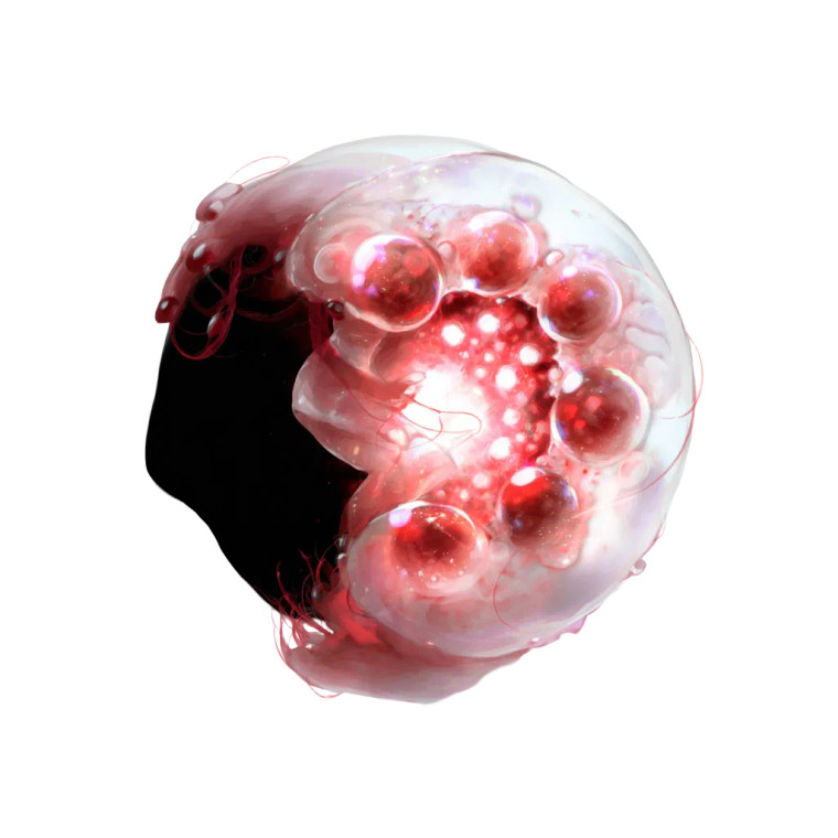Growing Embryo Vinyl Car Decal Sticker – Waterproof & UV-Resistant 6.826666666666667"