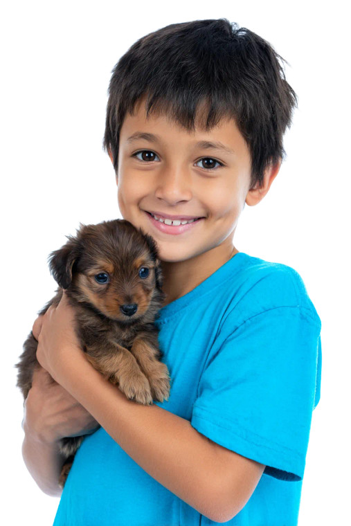 Boy With Puppy V4 Vinyl Car Decal Sticker – Waterproof & UV-Resistant 4.4