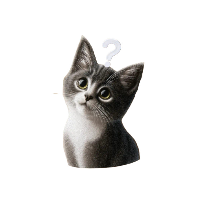 Confused Cat Sticker Vinyl Car Decal Sticker – Waterproof & UV-Resistant 3.6