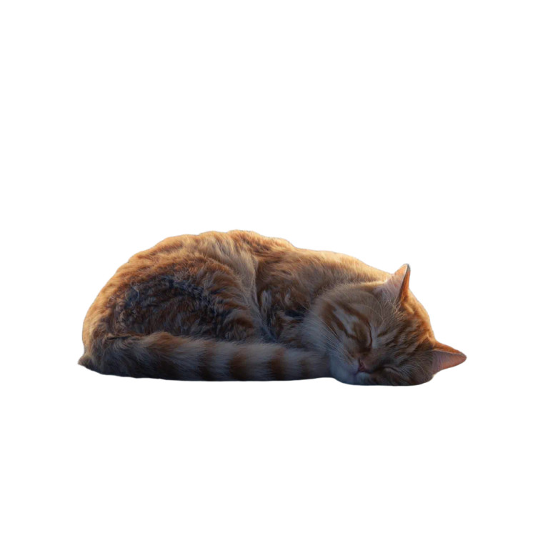 Giant Sleeping Cat V5 Vinyl Car Decal Sticker – Waterproof & UV-Resistant 3.4133333333333336"