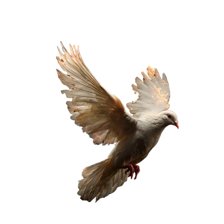 Burning White Doves Vinyl Car Decal Sticker – Waterproof & UV-Resistant 6.826666666666667"