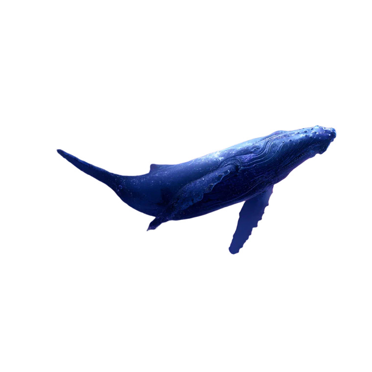Space Whale V3 Vinyl Car Decal Sticker – Waterproof & UV-Resistant 3.4133333333333336"