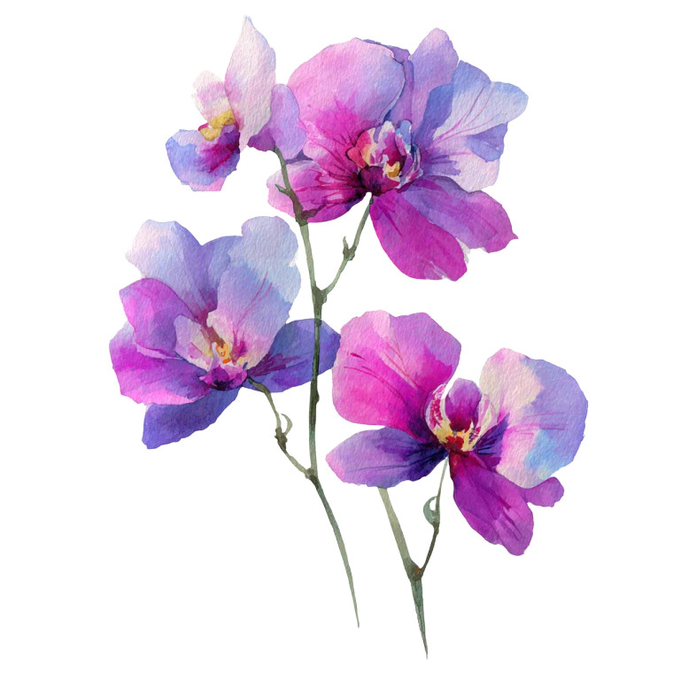 Wildflower Orchid Vinyl Car Decal Sticker – Waterproof & UV-Resistant 3.4133333333333336"