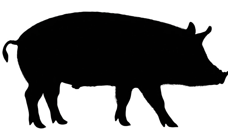 Silhouette Pig Vinyl Car Decal Sticker – Waterproof & UV-Resistant 2.8266666666666667"