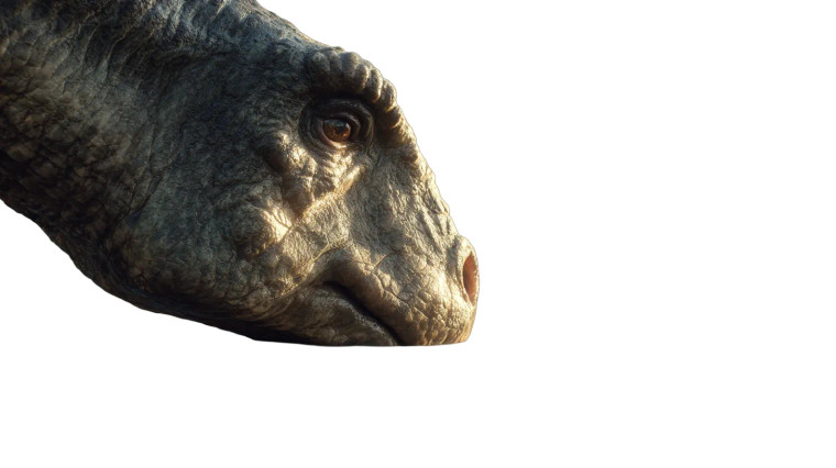 Brachiosaurus Drinking Vinyl Car Decal Sticker – Waterproof & UV-Resistant 5.4