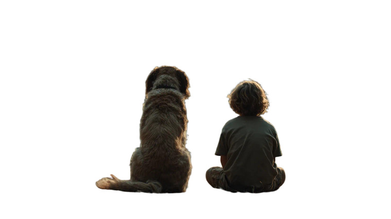 Dog And Boy V2 Vinyl Car Decal Sticker – Waterproof & UV-Resistant 5.4