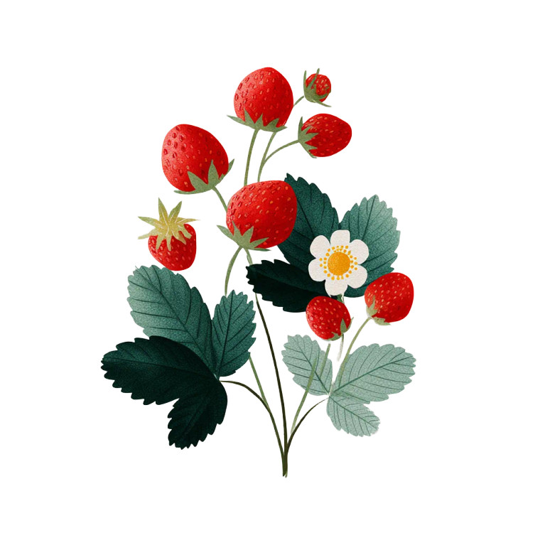 Wild Strawberries Vinyl Car Decal Sticker – Waterproof & UV-Resistant 6.826666666666667"