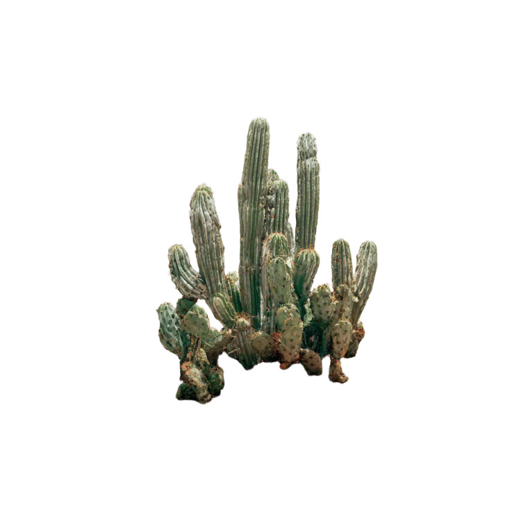 Southwestern Cactus Vinyl Car Decal Sticker – Waterproof & UV-Resistant 3.4133333333333336"