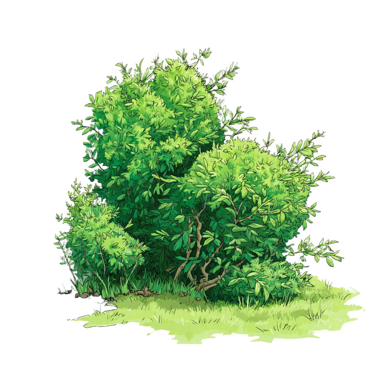 Stylized Bush Vinyl Car Decal Sticker – Waterproof & UV-Resistant 6.826666666666667"