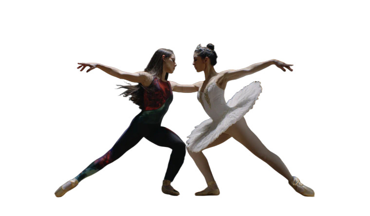 Dynamic Dancer Duo Vinyl Car Decal Sticker – Waterproof & UV-Resistant 5.546666666666667"