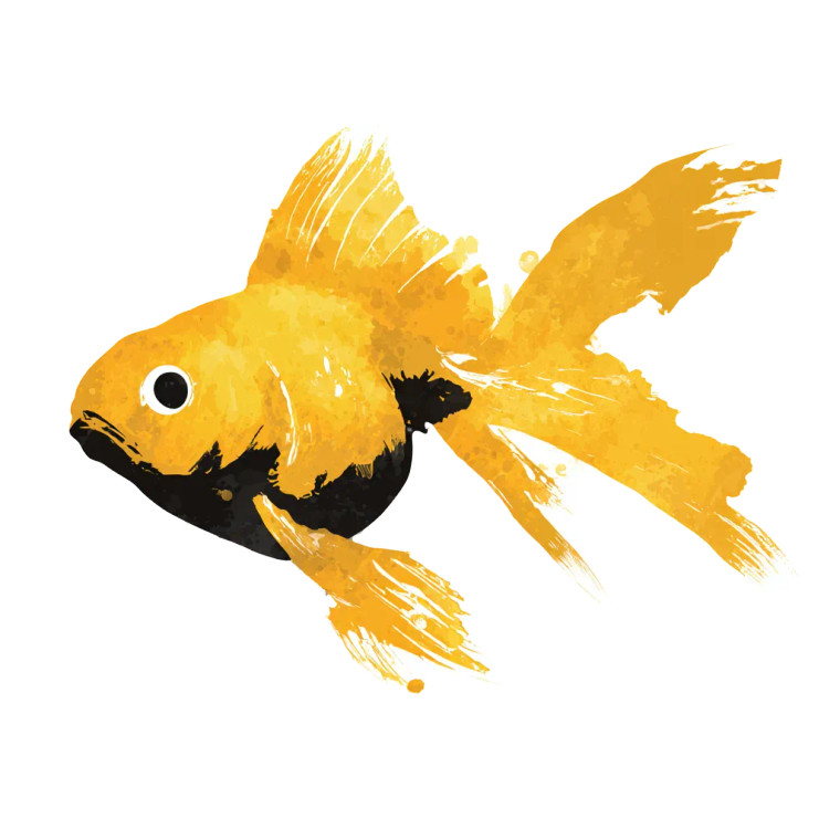 Gold Fish Logo Vinyl Car Decal Sticker – Waterproof & UV-Resistant 3.4133333333333336"