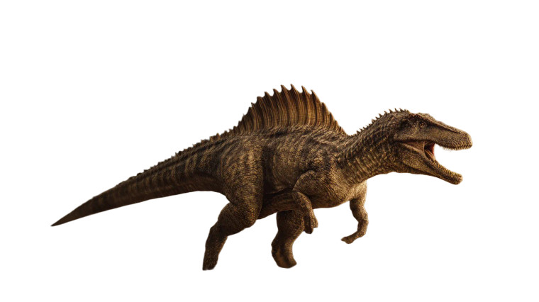 Spinosaurus Close-Up Vinyl Car Decal Sticker – Waterproof & UV-Resistant 2.72"