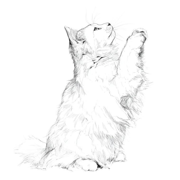 Reaching Cat Vinyl Car Decal Sticker – Waterproof & UV-Resistant 3.4133333333333336"