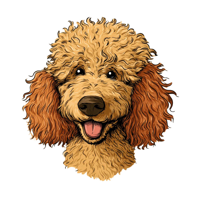 Happy Poodle Mascot Vinyl Car Decal Sticker – Waterproof & UV-Resistant 6.826666666666667"