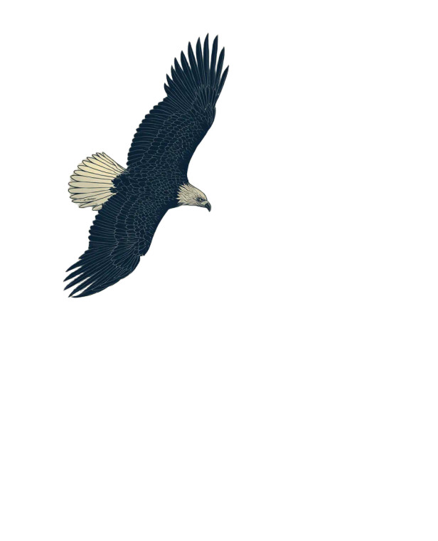 Majestic Eagle Soaring V13 Vinyl Car Decal Sticker – Waterproof & UV-Resistant 7.8933333333333335"