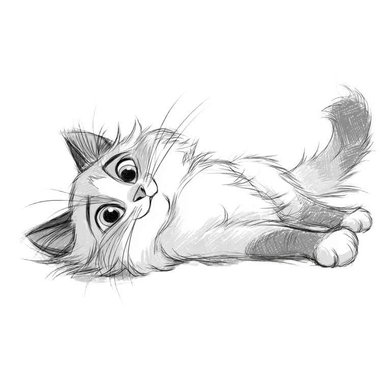 Adorable Ragdoll Cat Vinyl Car Decal Sticker – Waterproof & UV-Resistant 3.4133333333333336"