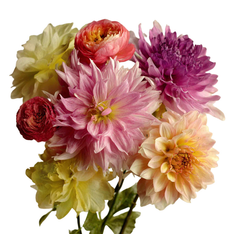 Joyful Floral Tulle Vinyl Car Decal Sticker – Waterproof & UV-Resistant 6.826666666666667"