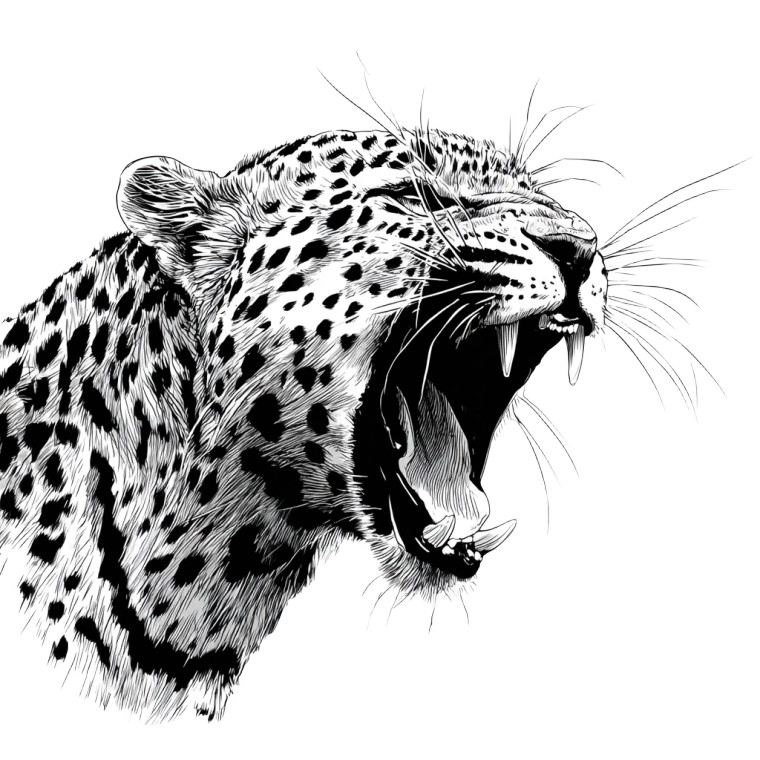 Roaring Leopard V2 Vinyl Car Decal Sticker – Waterproof & UV-Resistant 3.4133333333333336"